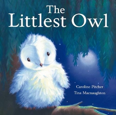 The Littlest Owl by Caroline Pitcher