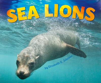 Sea Lions by Elizabeth R Johnson
