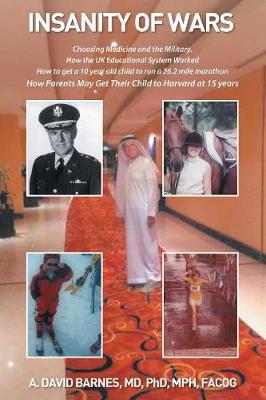 Insanity of Wars book