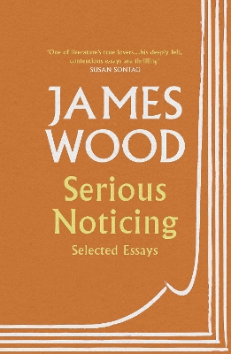 Serious Noticing: Selected Essays book