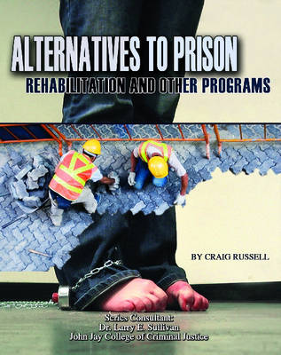 Alternatives to Prison book