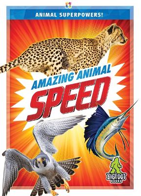 Amazing Animal Speed book