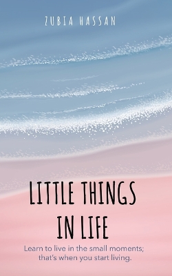 Little Things in Life book