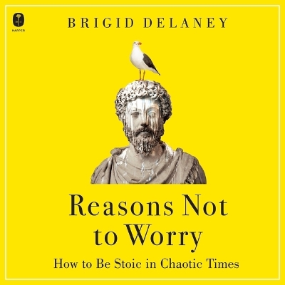 Reasons Not to Worry: How to Be Stoic in Chaotic Times by Brigid Delaney