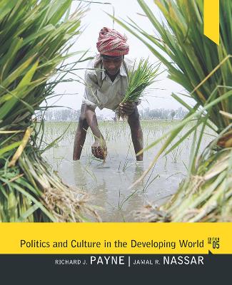 Politics and Culture in the Developing World by Richard J. Payne