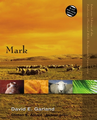 Mark by David E. Garland