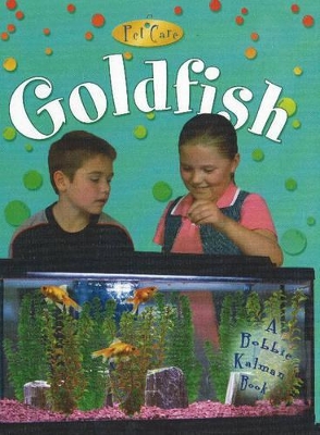 Goldfish by Kelley MacAulay