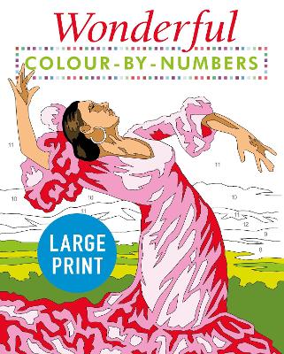 Wonderful Colour by Numbers Large Print: Easy to Read book