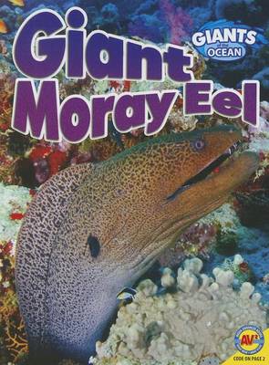Giant Moray Eel by Anita Yasuda