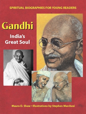 Gandhi book