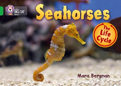 Seahorses book