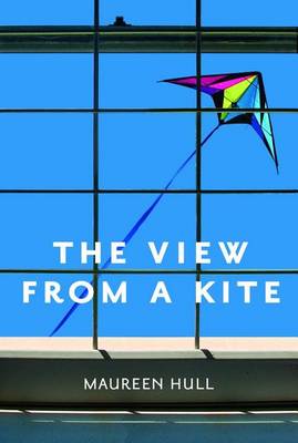 View from a Kite book