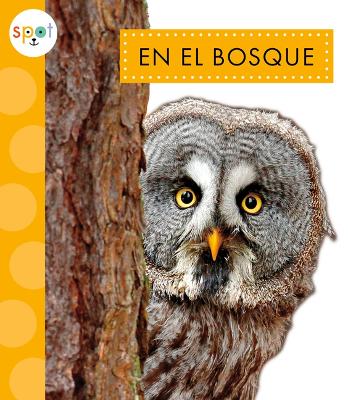 En El Bosque book