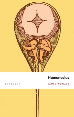 Homunculus book