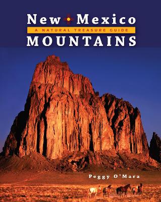 New Mexico Mountains: A Natural Treasure Guide book