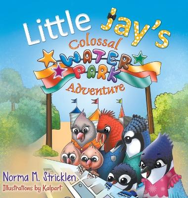 Little Jay's Colossal Waterpark Adventure by Norma M Stricklen