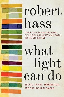 What Light Can Do book