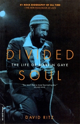 Divided Soul book