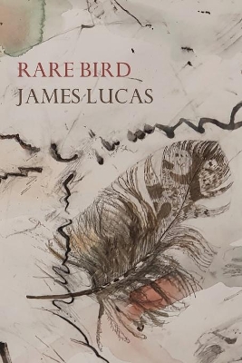 Rare Bird book