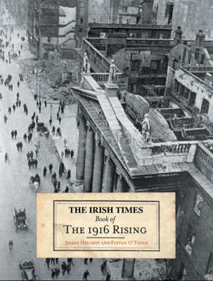 1916 Rising book