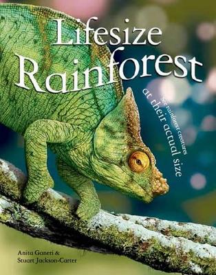 Lifesize: Rainforest by Anita Ganeri