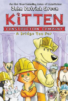 Kitten Construction Company: A Bridge Too Fur book