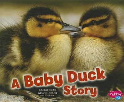 Baby Duck Story book