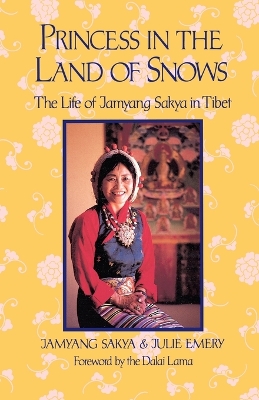 Princess In Land Of Snows book