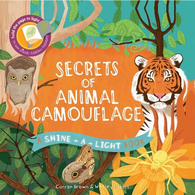 Secrets of Animal Camouflage book