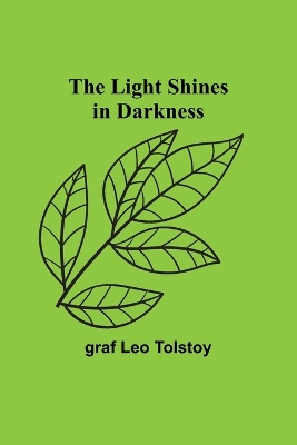 The Light Shines in Darkness book