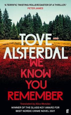 We Know You Remember: the no. 1 international bestseller by Tove Alsterdal