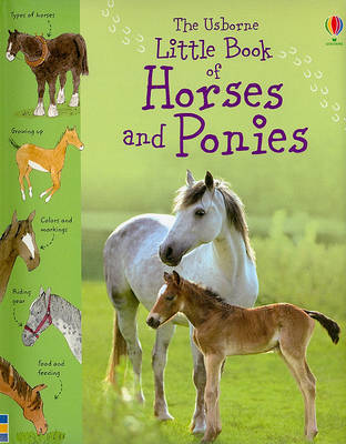 Usborne Little Book of Horses and Ponies by Sarah Khan