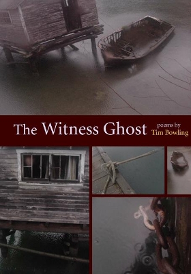 Witness Ghost book