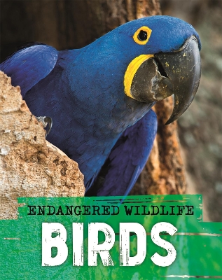 Endangered Wildlife: Rescuing Birds book