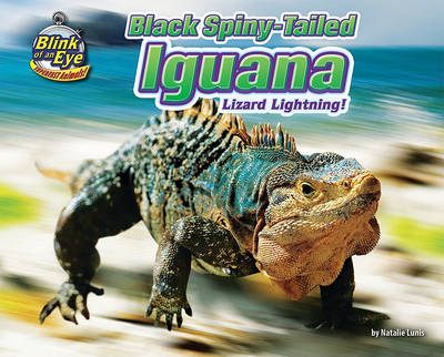 Black Spiny-Tailed Iguana book