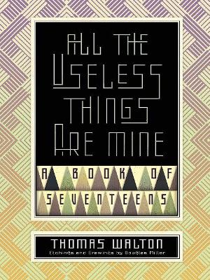 All the Useless Things are Mine: A Book of Seventeens book