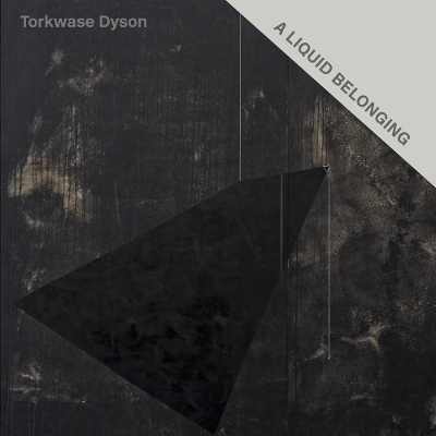 Torkwase Dyson: A Liquid Belonging book