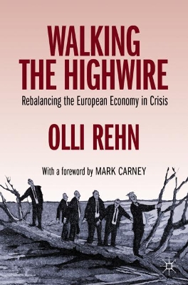 Walking the Highwire: Rebalancing the European Economy in Crisis book