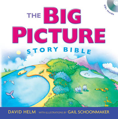 The The Big Picture Story Bible by David R. Helm