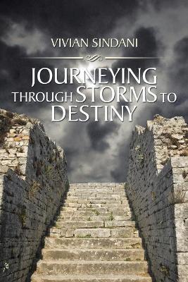Journeying Through Storms to Destiny book