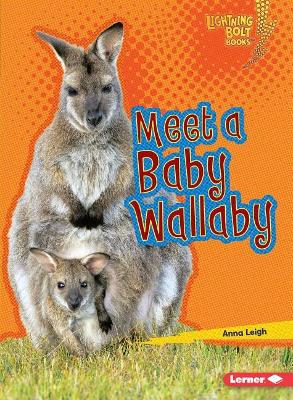 Meet a Baby Wallaby by Anna Leigh