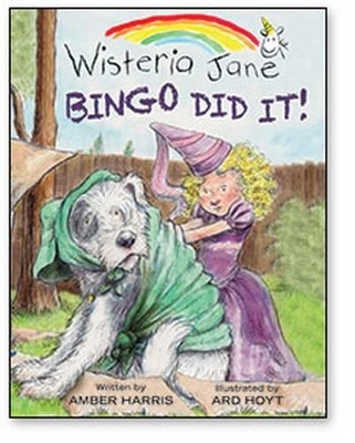 Bingo Did It! book