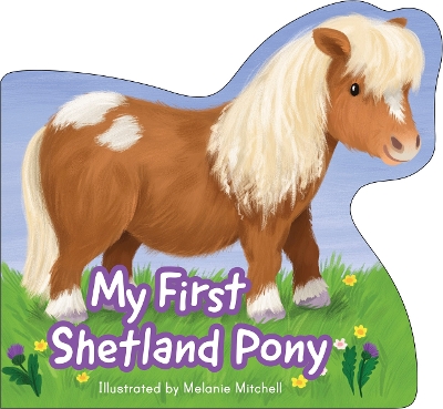 My First Shetland Pony book