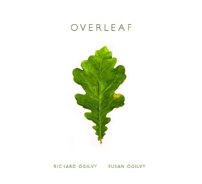 Overleaf book