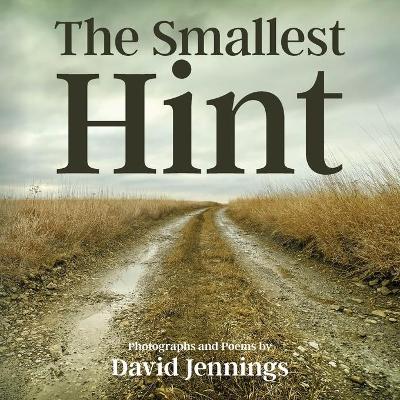 The Smallest Hint book