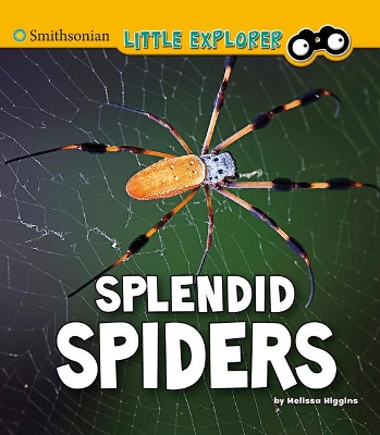 Splendid Spiders book