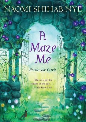 Maze Me book
