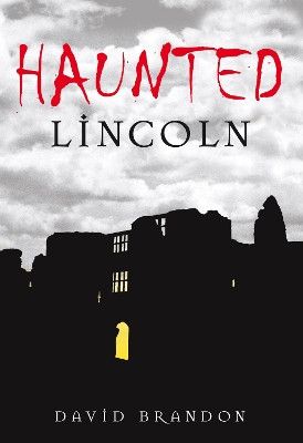 Haunted Lincoln book