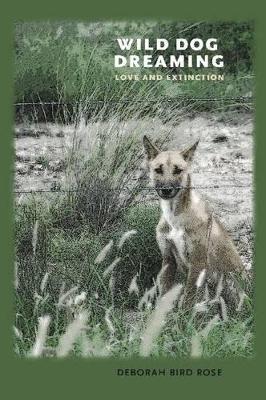 Wild Dog Dreaming book