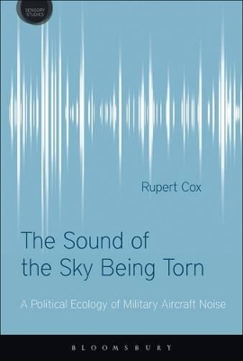 Sound of the Sky Being Torn book